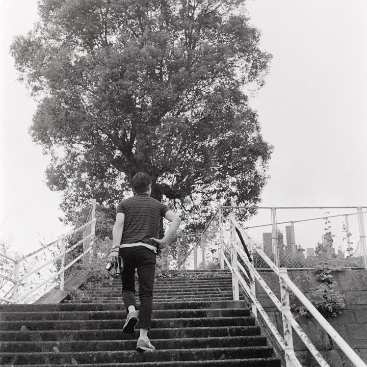 「花と手紙だより」2025年10月19日