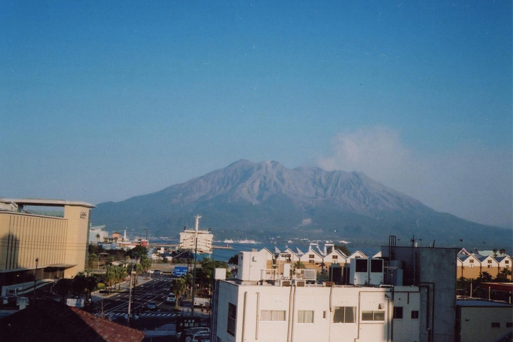 「花と手紙だより」2026年3月7日